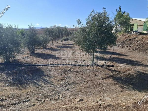 land for sale agios ioannis nicosias nicosia 1609035 image 7293553