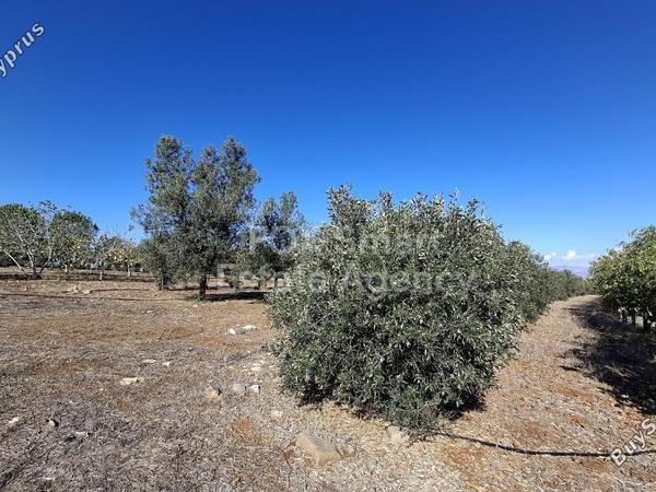 land for sale agios ioannis nicosias nicosia 1609035 image 7293558