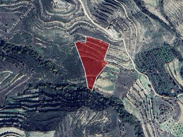 land for sale pachna limassol 8630035 image 16656577