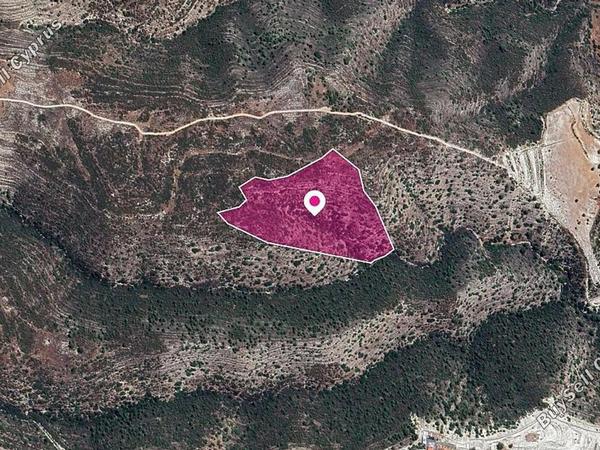 land for sale agios georgios silikou limassol 1070135 image 13341121