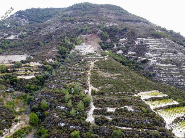 land for sale agios mamas limassol 7547135 image 14768992