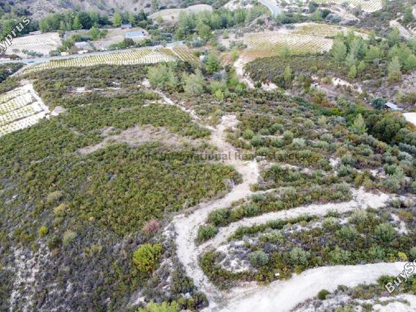 land for sale agios mamas limassol 7547135 image 14769002