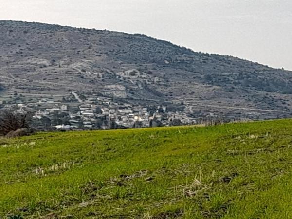 land for sale mitsero nicosia 1589135 image 16176806