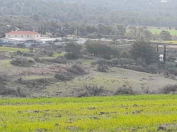 land for sale mitsero nicosia 1589135 image 16176808
