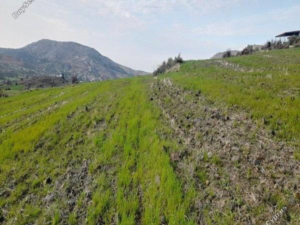 land for sale mitsero nicosia 1589135 image 16176810