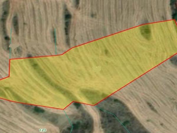 land for sale mitsero nicosia 1589135 image 16176817