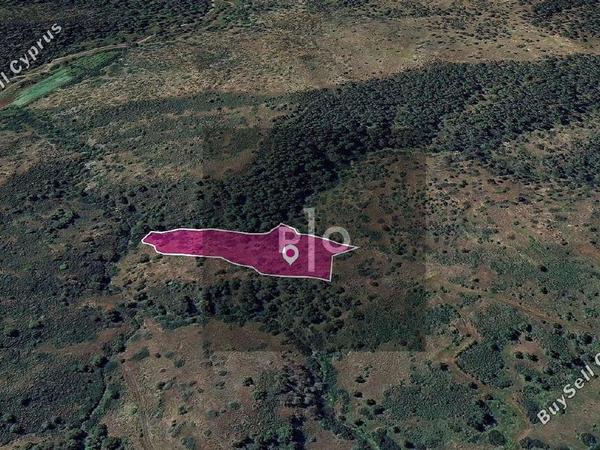 land for sale pigenia nicosia 8275135 image 15580566
