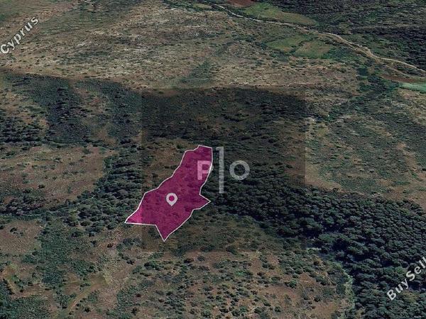 land for sale pigenia nicosia 8275135 image 15580567