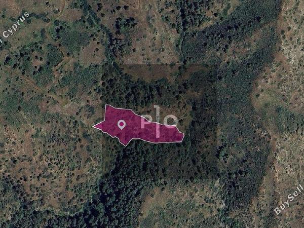 land for sale pigenia nicosia 8275135 image 15580568