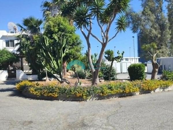 2 bedroom ground floor apartment for rent kato paphos paphos 8791235 image 16671627