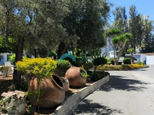 2 bedroom ground floor apartment for rent kato paphos paphos 8791235 image 16671628