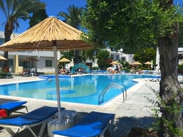 2 bedroom ground floor apartment for rent kato paphos paphos 8791235 image 16671630