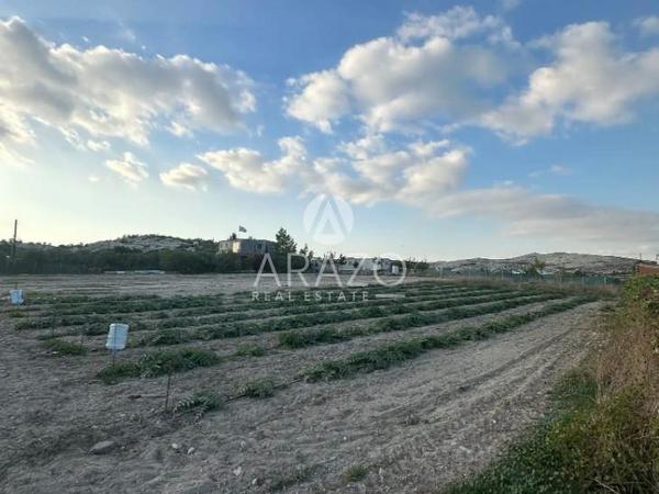 land for sale aradippou larnaca 8827235 image 16974088