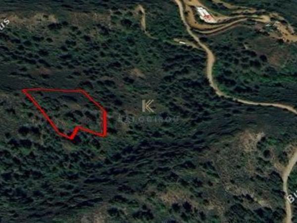 land for sale kalopanagiotis nicosia 7625235 image 9829591