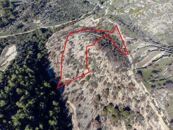 land for sale mousere paphos 1898235 image 14213742