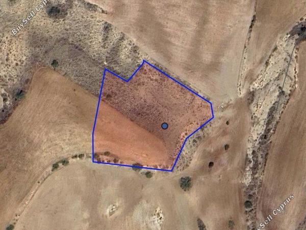 land for sale nikitari nicosia 7804235 image 16180129