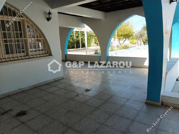 studio restaurant for rent psimolofou nicosia 1581235 image 16782441