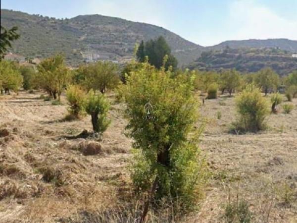land for sale fasoula lemesou limassol 7903335 image 14990523