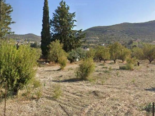 land for sale fasoula lemesou limassol 7903335 image 14990525