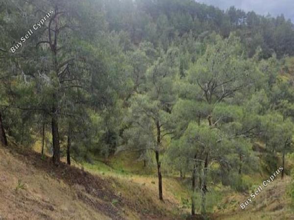land for sale pigenia nicosia 8629335 image 15867359