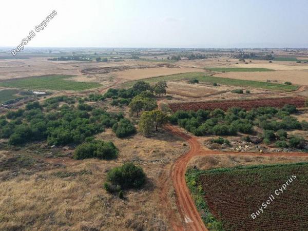 land for sale liopetri famagusta 8630435 image 15873303