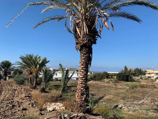 plot for sale chlorakas paphos 1898435 image 14216043