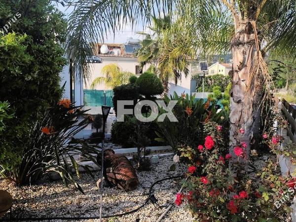 3 bedroom detached house for rent paramytha limassol 1349535 image 14869006
