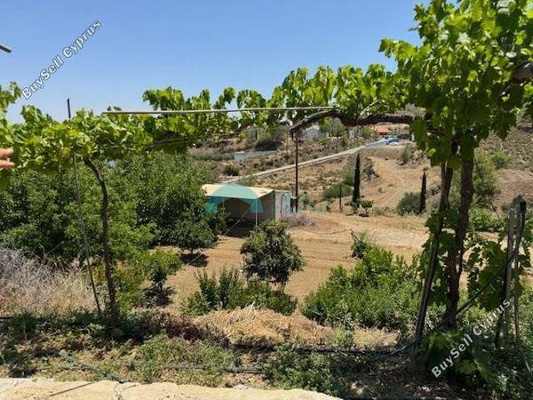 land for sale klirou nicosia 1844535 image 6620768