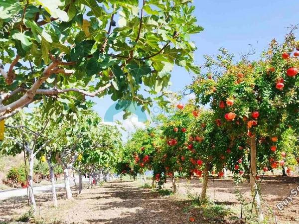 land for sale klirou nicosia 1844535 image 6620776