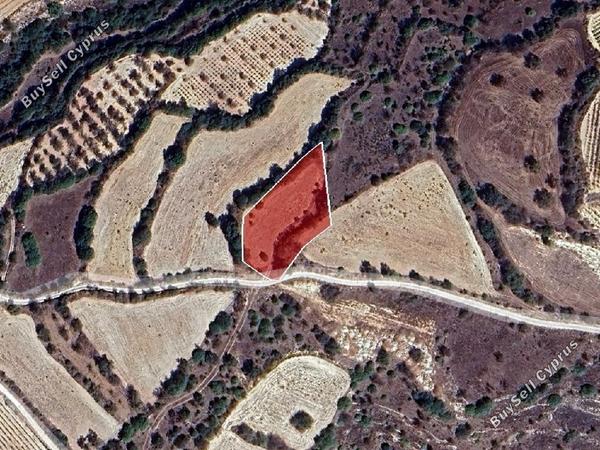 land for sale lemona paphos 8628535 image 16276084