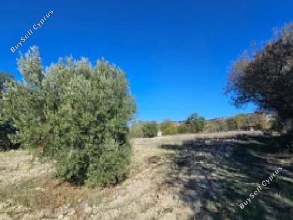 land for sale lemona paphos 8628535 image 16276085