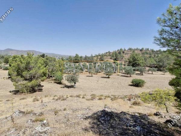 land for sale lythrodontas nicosia 1578535 image 16742819