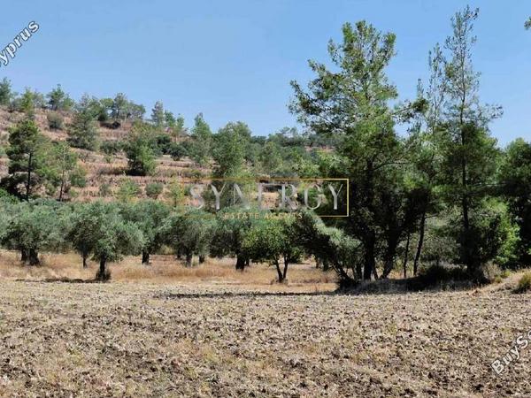 land for sale lythrodontas nicosia 1578535 image 16742820