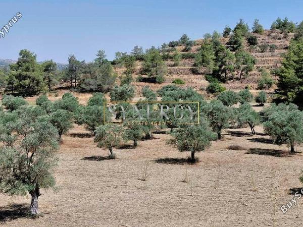 land for sale lythrodontas nicosia 1578535 image 16742821