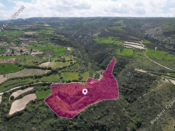 land for sale pano akourdalia paphos 1897535 image 14206160