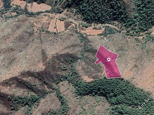 land for sale pigenia nicosia 1057535 image 14768012