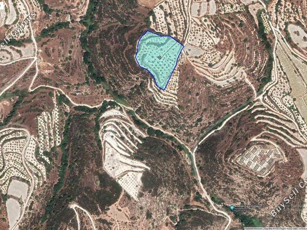 plot for sale kallepeia paphos 1898535 image 14217360
