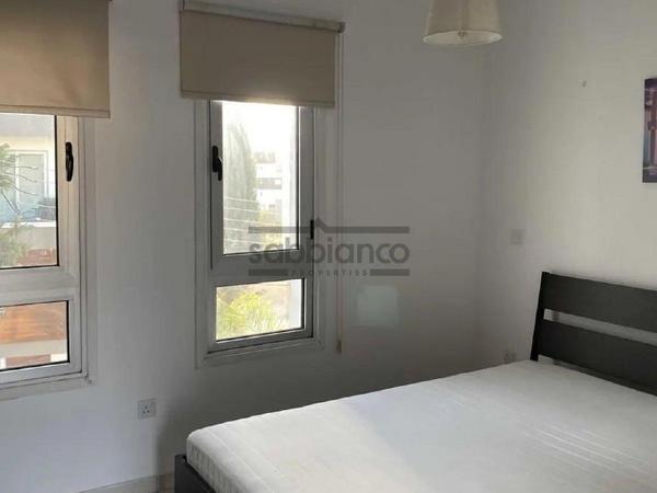 1 bedroom apartment for rent aglantzia nicosia 8749635 image 16524782