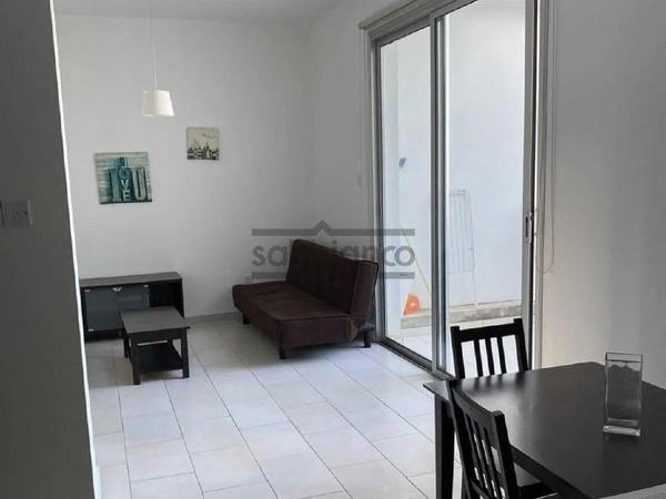 1 bedroom apartment for rent aglantzia nicosia 8749635 image 16524785