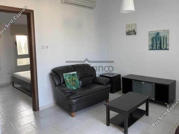 1 bedroom apartment for rent aglantzia nicosia 8749635 image 16524786