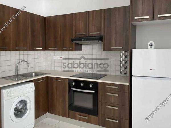 1 bedroom apartment for rent aglantzia nicosia 8749635 image 16524789