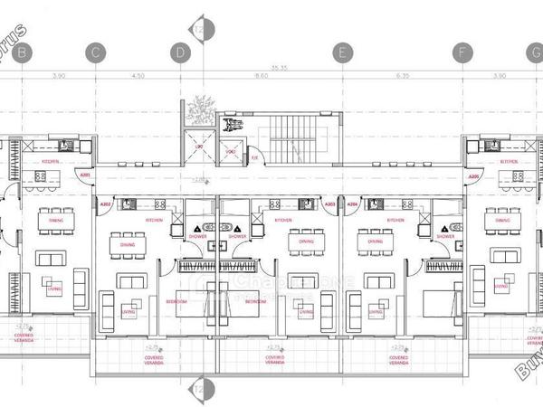 2 bedroom apartment for sale kissonerga paphos 8346635 image 14668806