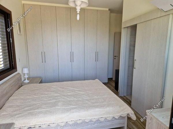 3 bedroom detached house for sale tala paphos 1898635 image 14219716