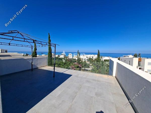 4 bedroom detached house for rent chlorakas paphos 8680635 image 16238196