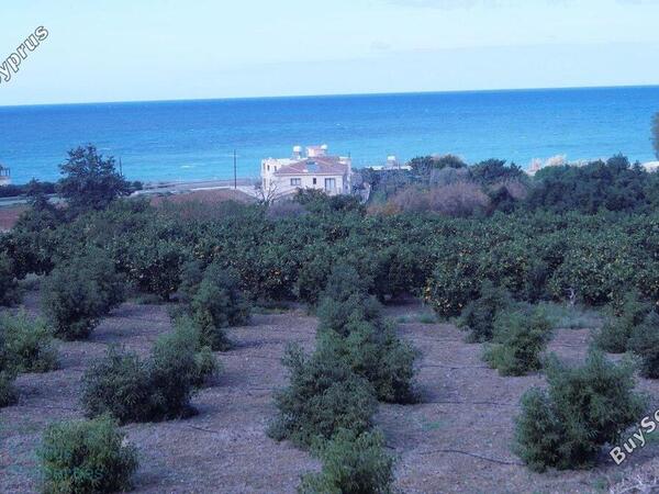4 bedroom detached house for sale agia marina chrysochous paphos 1303635 image 2372390