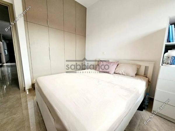 4 bedroom detached house for sale emba paphos 8736635 image 16349771