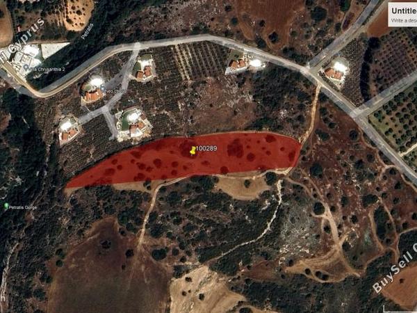 land for sale neo chorio paphos 1354635 image 5604975