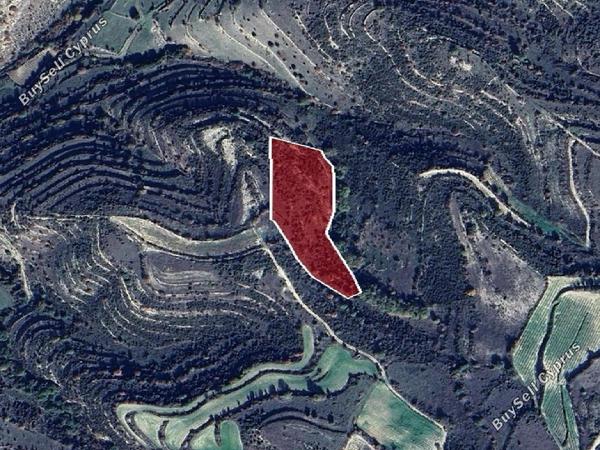 land for sale pachna limassol 8726635 image 16332956