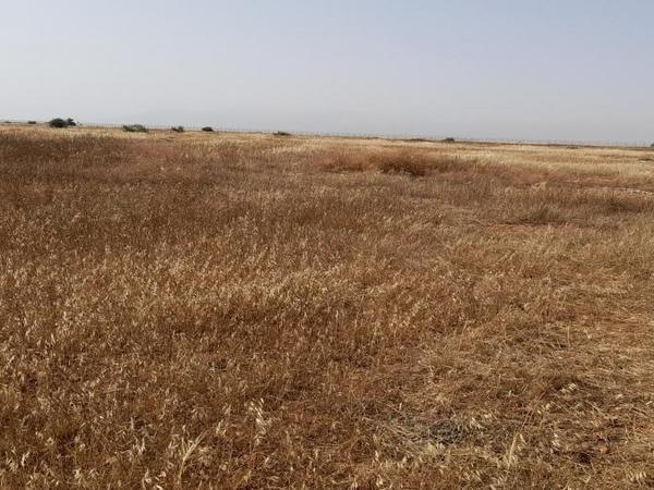 land for sale kokkinotrimithia nicosia 1788735 image 16168852