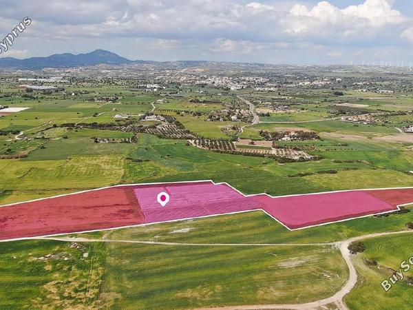 land for sale mazotos larnaca 8376735 image 14636195
